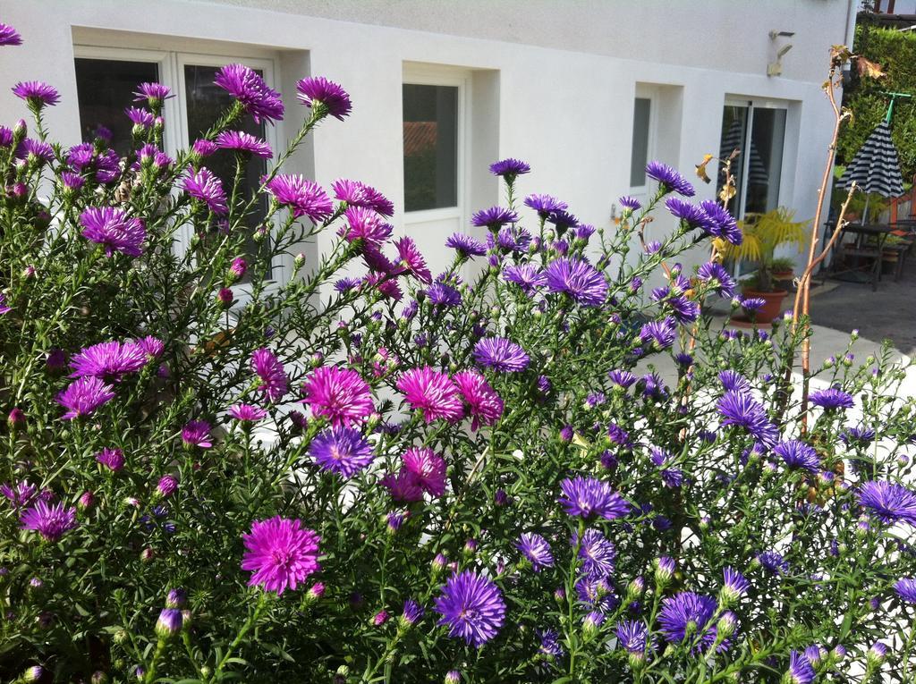 House St Pee Sur Nivelle